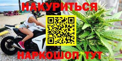 Альфа ПВП Дубна